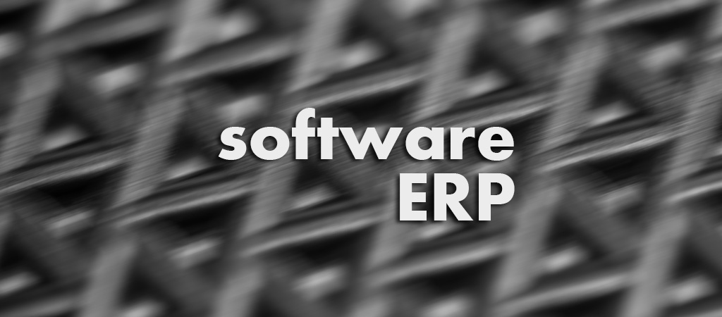 Software ERP (Enterprise Resource Planning)